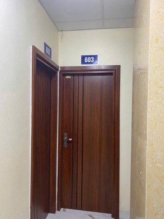 Cửa thép vân gỗ 1 cánh